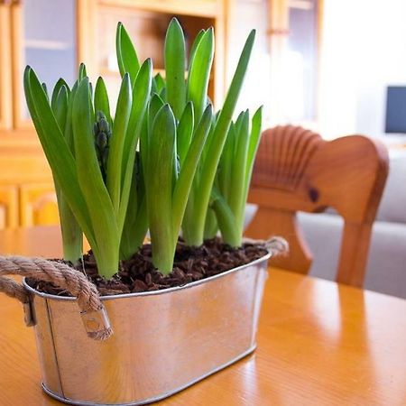 Apartamento Los Narcisos Чулиля Екстериор снимка