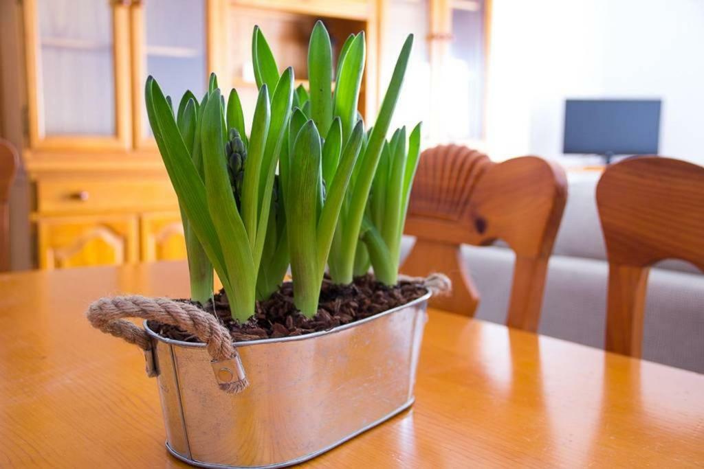 Apartamento Los Narcisos Чулиля Екстериор снимка