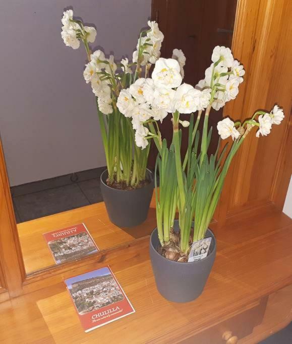 Apartamento Los Narcisos Чулиля Екстериор снимка